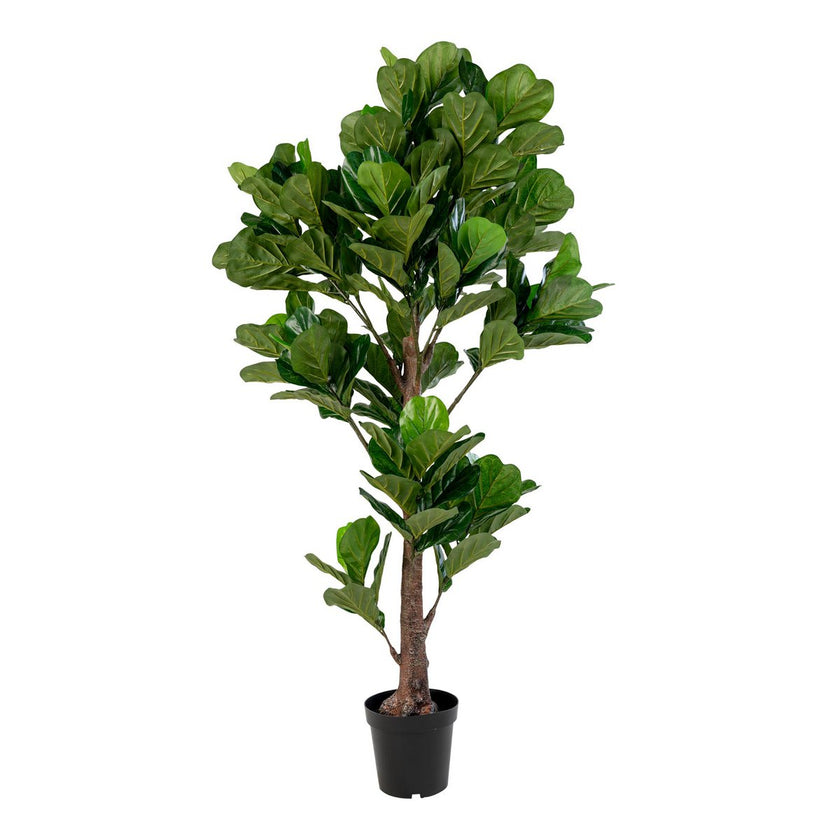 Fiddle Leaf Tree - Groen, PE kunststof/polyester, 81x93x190 cm
