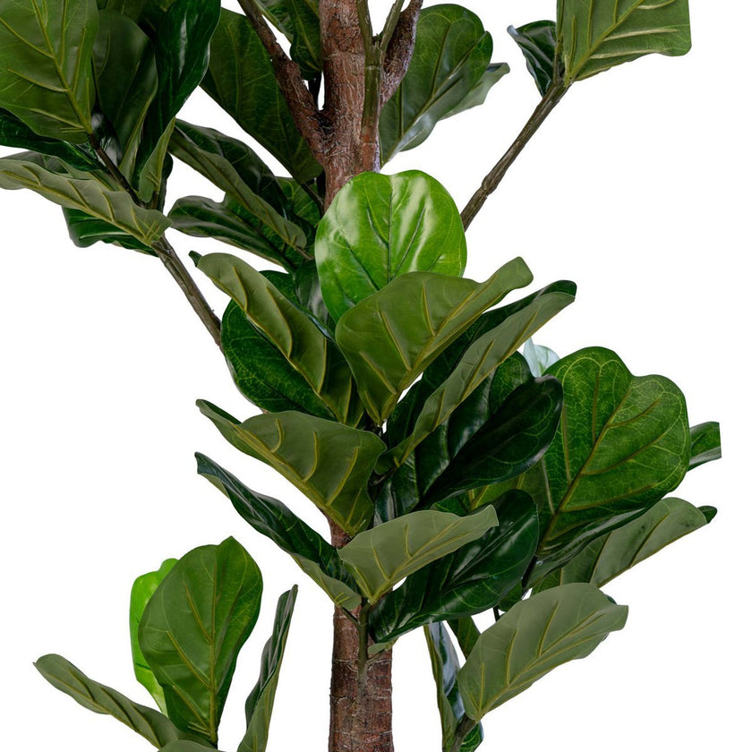 Fiddle Leaf Tree - Groen, PE kunststof/polyester, 81x93x190 cm