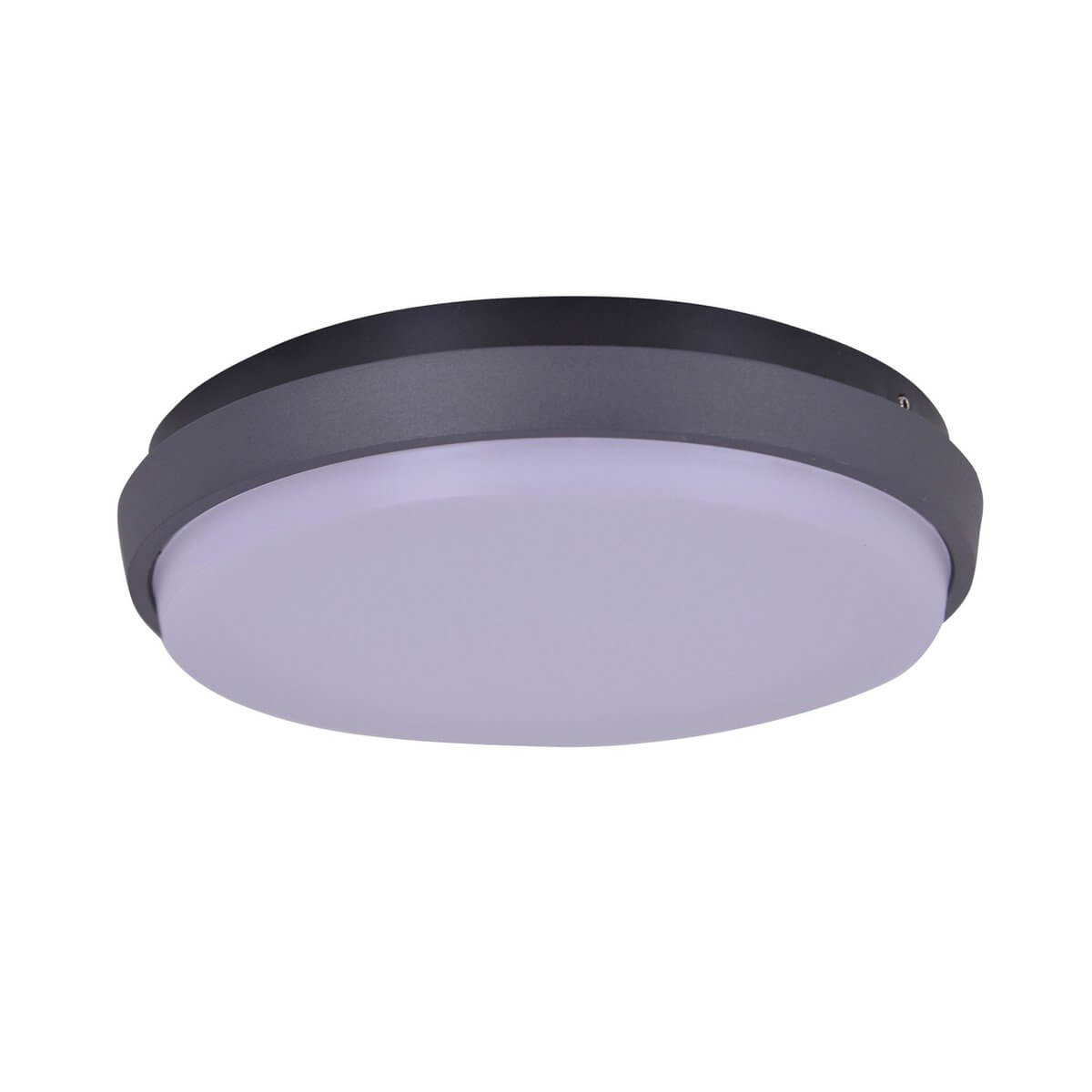 Buiten Wandlamp Metaal en Kunststof – Strak Design Diepe Lichtwerking