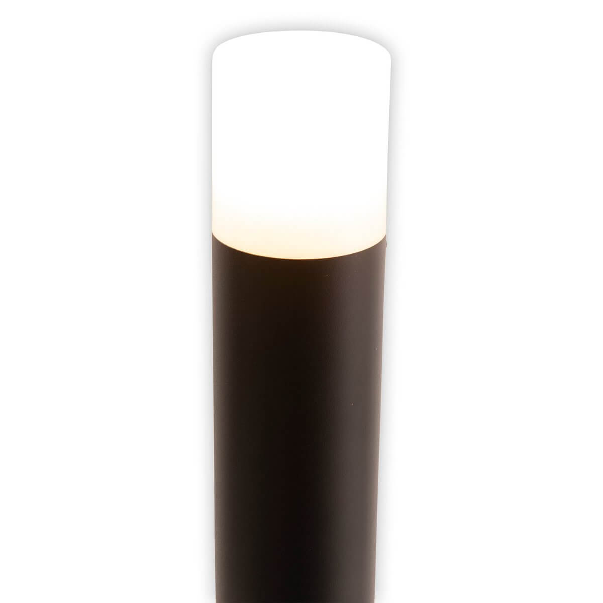 Torcia staande buitenlamp padlicht - rondom licht - Ø 7,6 × 80 cm