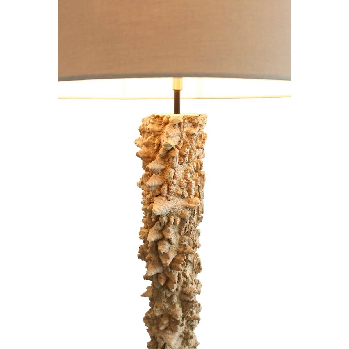 Floor lamp driftwood natural/white 150 cm - SalesFever