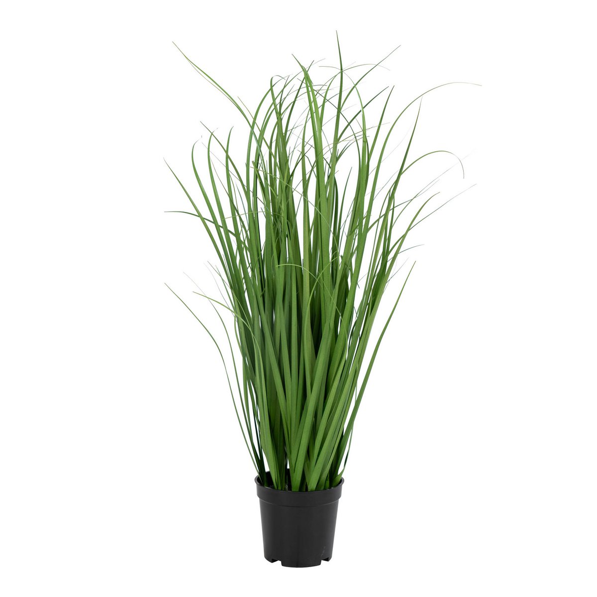 Poa Gras - Groen, PE Kunststof/Polyester, 30x30x68 cm