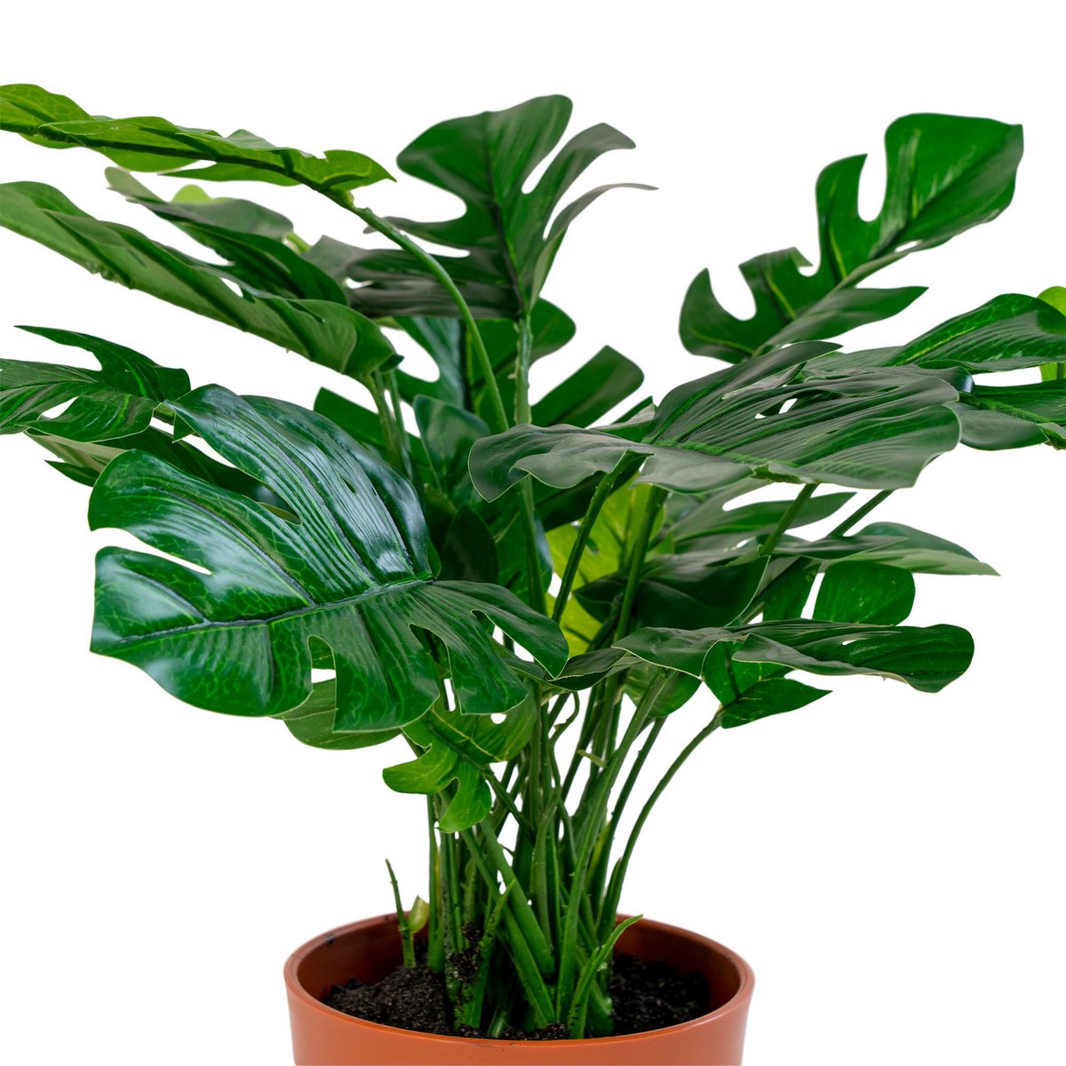 Monstera - Groen, PE-kunststof/polyester/draad/cement, 40x40x45 cm