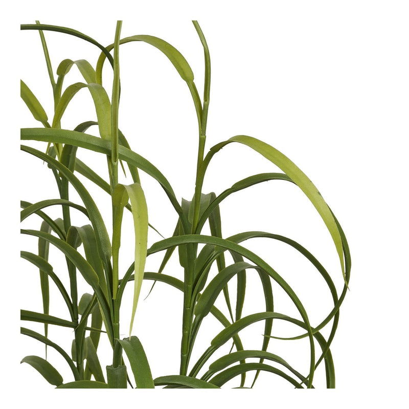 Grasplant, groen, H:68 cm