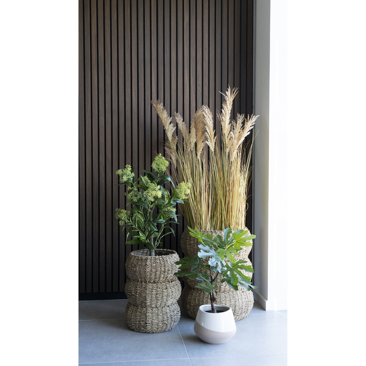 Vijgenboom - Groen, PE-kunststof, H:60 cm