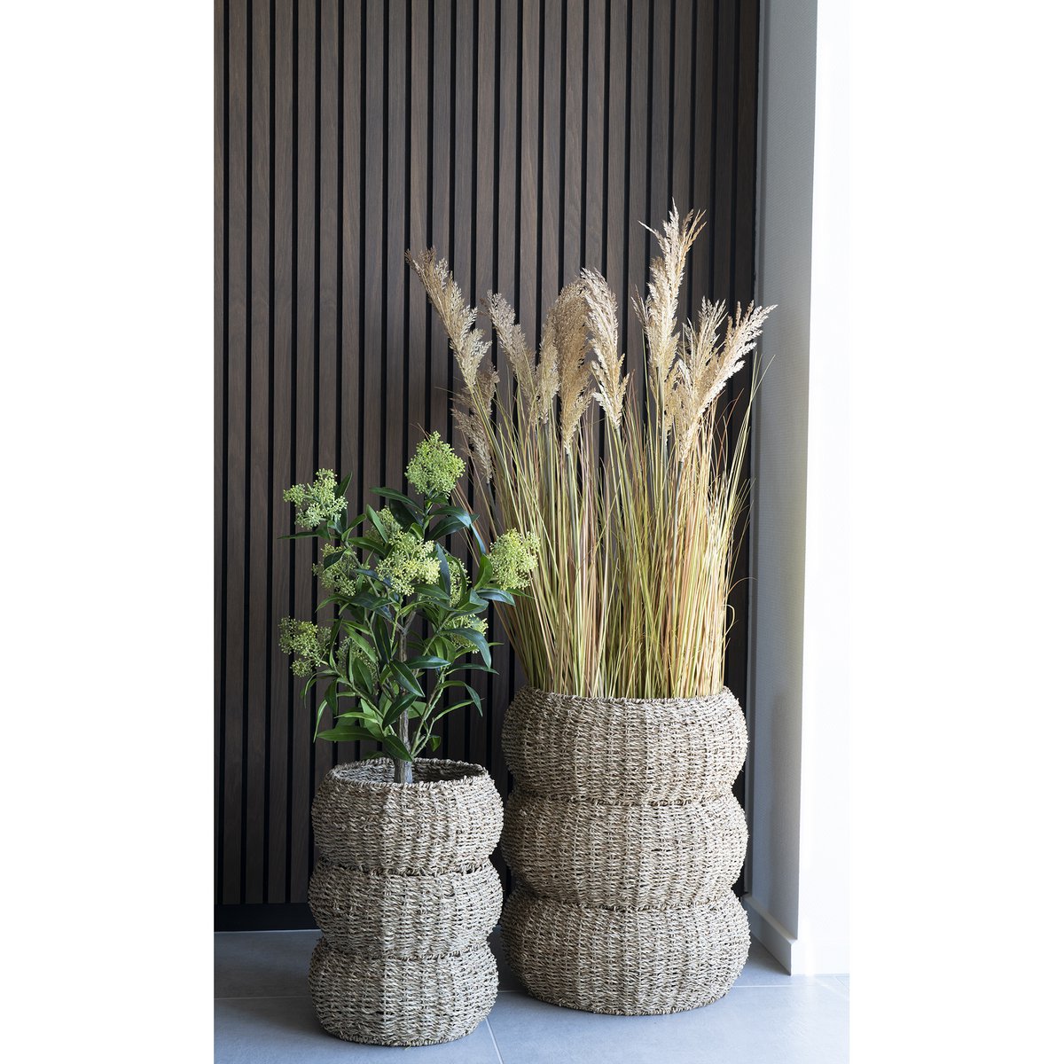 Skimmiaboom - Groen, PE-kunststof, H:75 cm