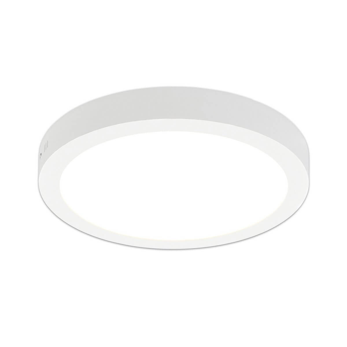 Led plafondpaneel wit - dimbaar - Ø 30 × 3,5 cm
